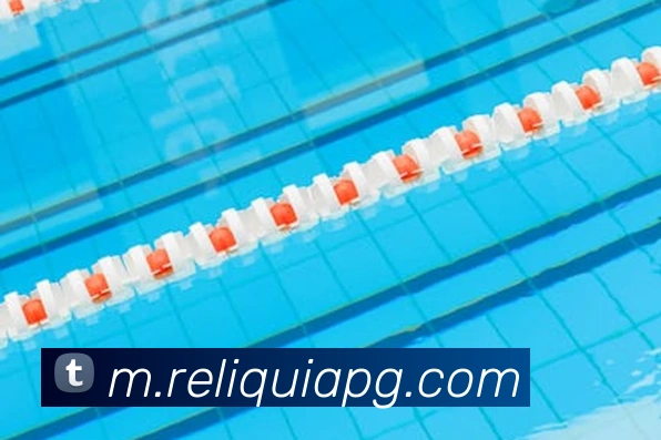 App Interface Preview