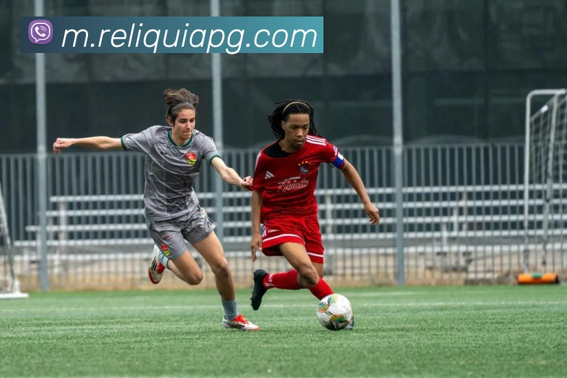 pg官网APP 封面图